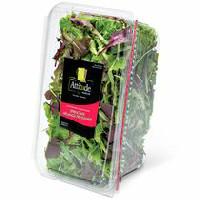 Fresh Attitude Spring Mix