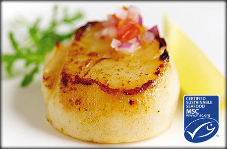 Canadian Sea Scallops