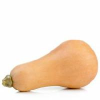 Squash, Butternut