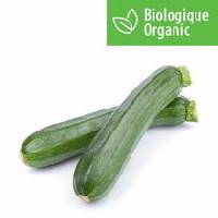 Zucchini, Organic