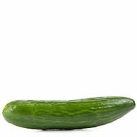 Cucumber, English
