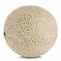 Cantaloupe, Small