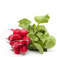 Radishes