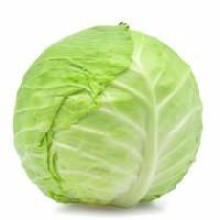 Cabbage, Green