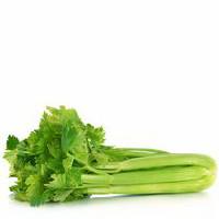 Celery