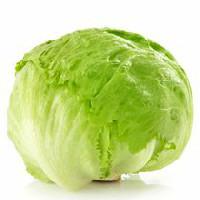 Iceberg Lettuce