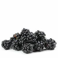 Blackberries