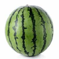 Watermelon, Mini