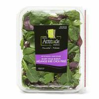 Fresh Attitude Baby Kale Blend