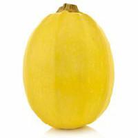 Squash, Spaghetti