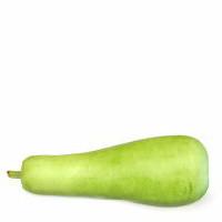 Squash, Long