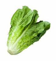 Lettuce, Romaine (sold in singles)