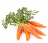 Carrots