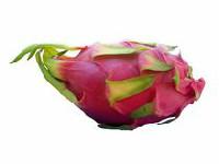 Dragon Fruit (sold in singles)