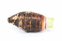 Taro Root, Small (sold in singles)