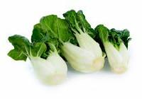 Bok Choy, Baby