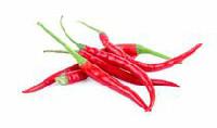 Peppers, Thai Chili