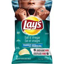 Lay's Salt & Vinegar Potato Chips