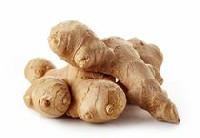 Ginger, Organic