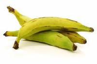 Plantain