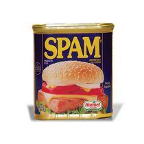 SPAM Fully Cooked Luncheon Meat