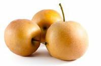 Pear, Asian (sold as singles)
