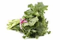 Rapini