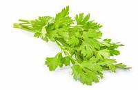 Fresh Flat Parsley