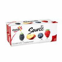 Yoplait Source Blueberry, Blackberry, Strawberry and Nectarine Yogurt