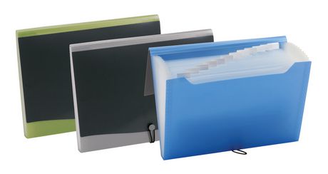 Professional Expanding File
