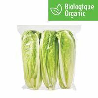 Organic Romaine Hearts