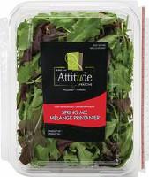 Fresh Attitude Spring Mix