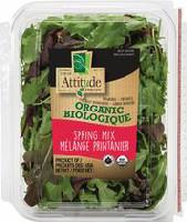 Fresh Attitude Organic Spring Mix