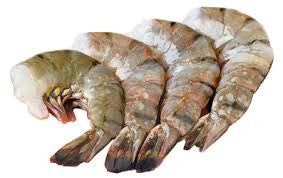 Raw Shrimp 5/9