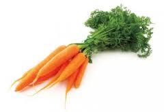 Carrots