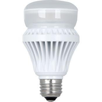 Led 13.5W A19 Light Bulb