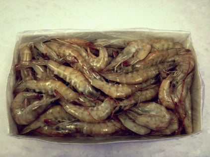 Whole Shrimp 40/50