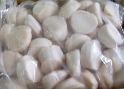 Scallops U40 Size
