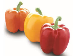 Sweet Bell Peppers