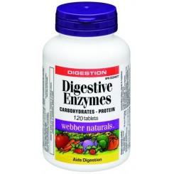 Digestive Enzymes
