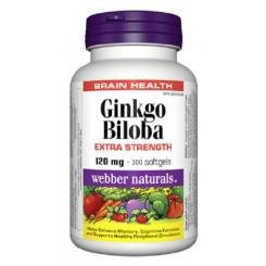 Ginkgo Biloba 120 mg