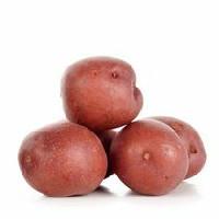Potatoes, Red Mini