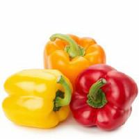 Peppers, Rainbow Bell