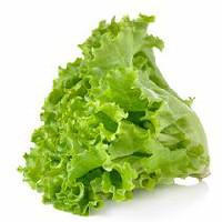 Lettuce, Green Leaf