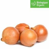 Onions, Yellow Organic