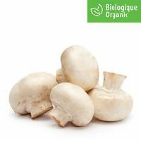 Mushrooms, White Whole Organic