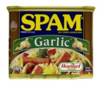 SPAM garlic