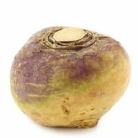 Rutabaga