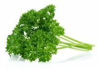 Fresh Curly Parsley