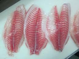 Tilapia Fillets Farmed